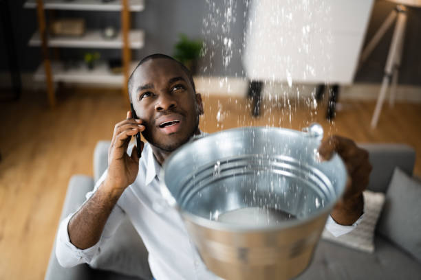 Best Water damage restoration insurance claims  in Trenton, IL