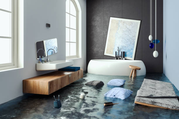 Best Water damage cleanup near me  in Trenton, IL