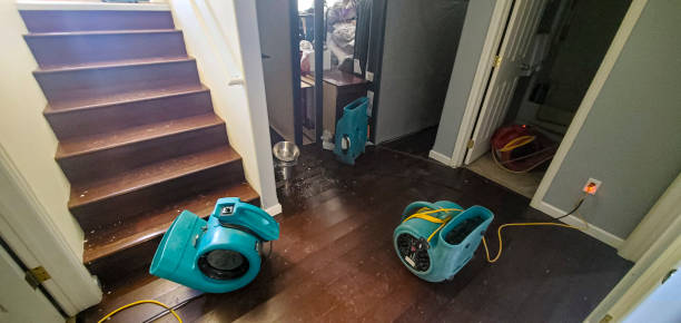  Trenton, IL Water damage restoration Pros