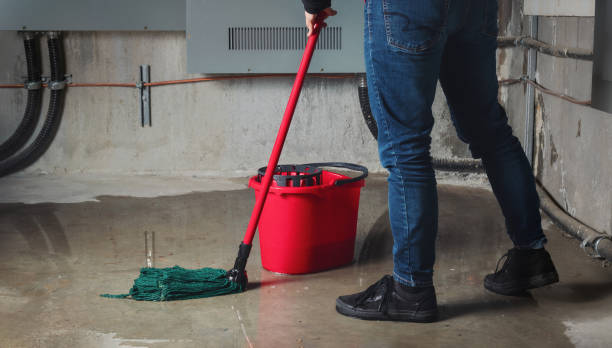 Best Emergency water damage restoration  in Trenton, IL