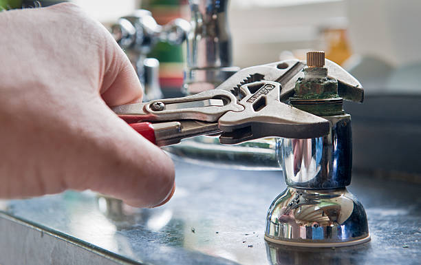 Best Professional water damage repair  in Trenton, IL