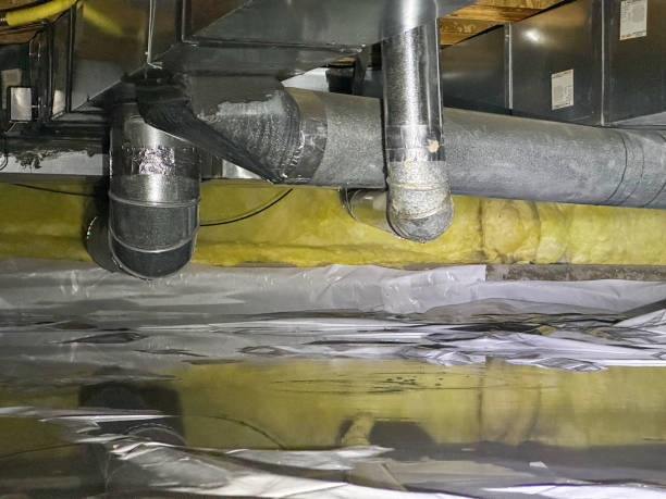 Best Carpet water damage restoration  in Trenton, IL