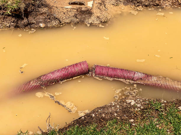Best Sewage cleanup and water damage restoration  in Trenton, IL