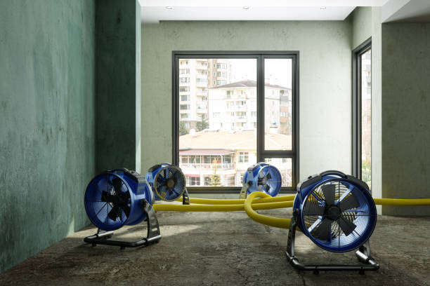 Best Fire Damage Restoration  in Trenton, IL
